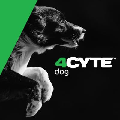 Routine simple pour le bien-être articulaire du chien avec le gel