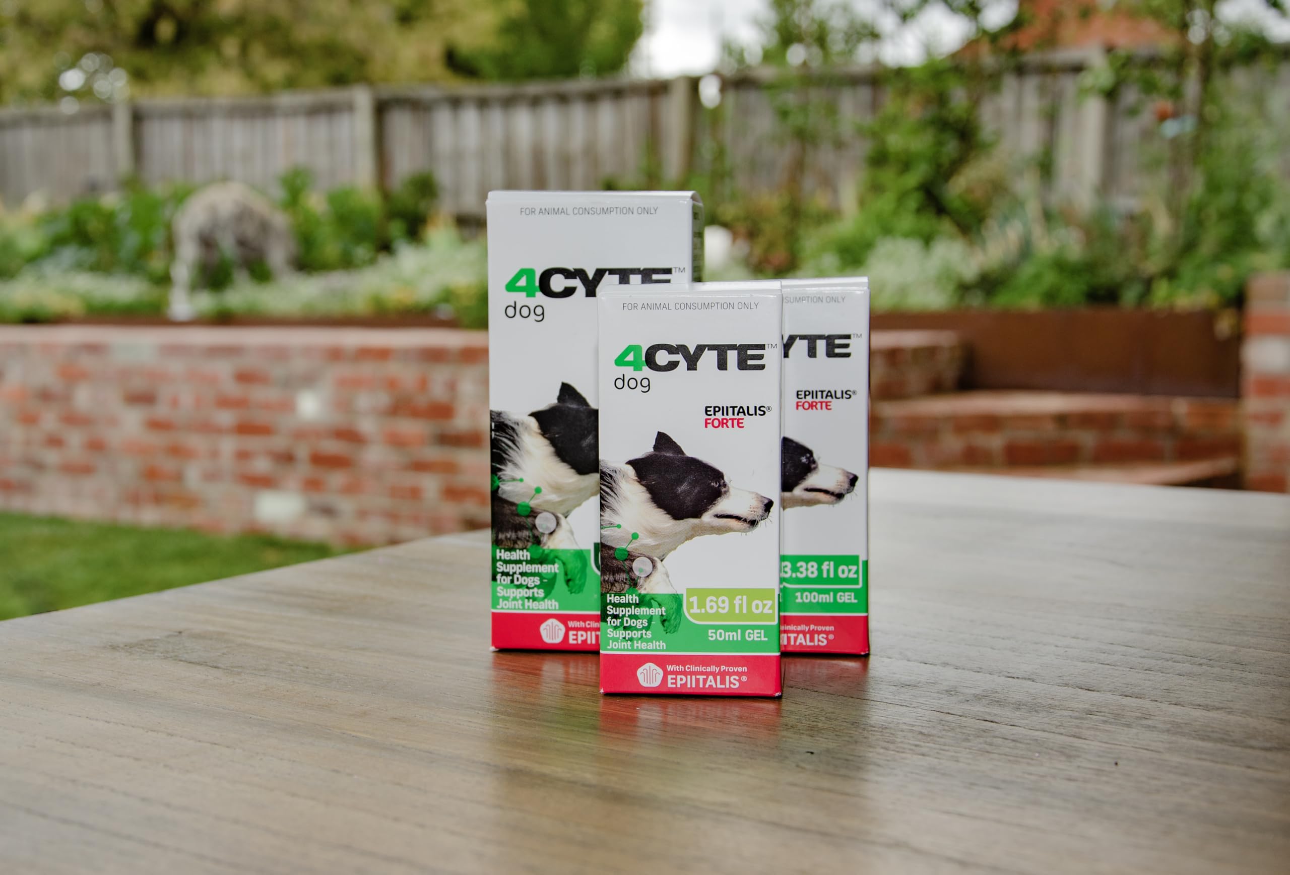 4CYTE Epiitalis Forte Gel – dosage quotidien facile pour chiens.
