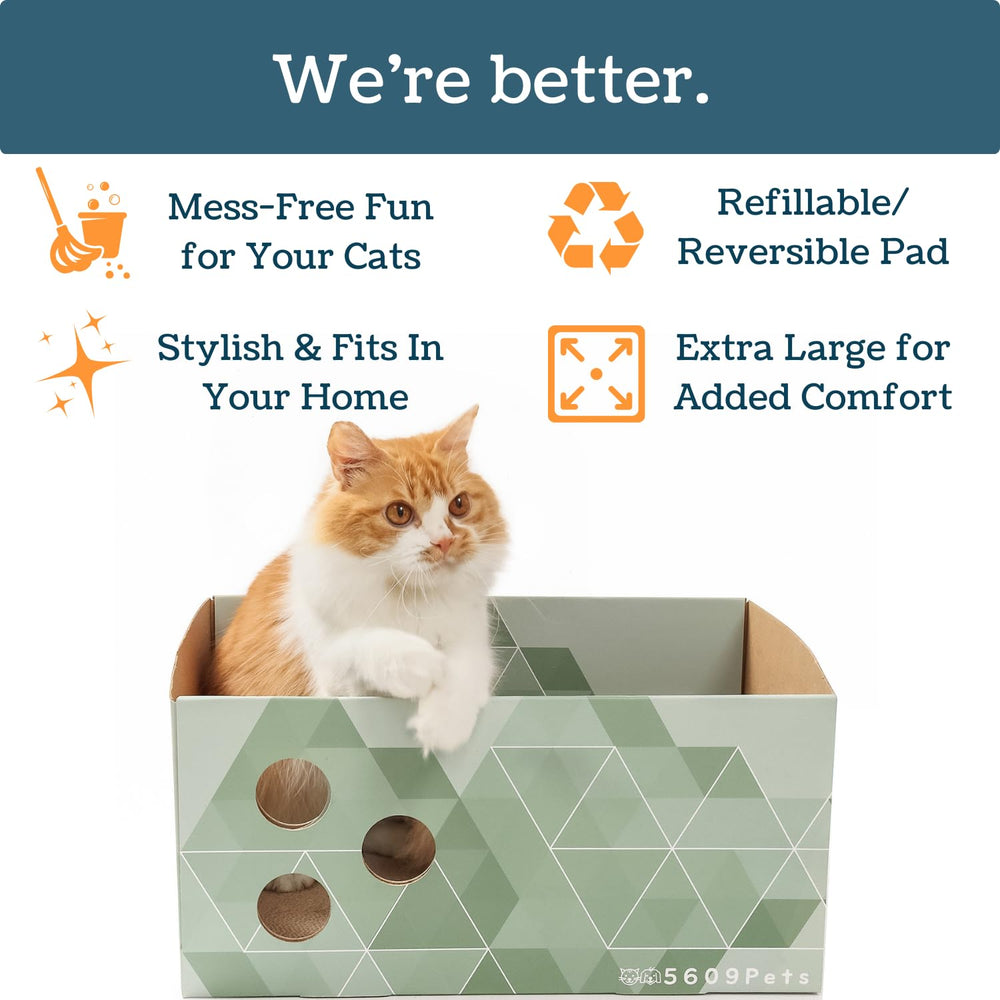 5609PETS ouvertures-ludiques: jeux interactifs avec jouets et plumes