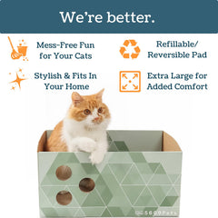 5609PETS ouvertures-ludiques: jeux interactifs avec jouets et plumes