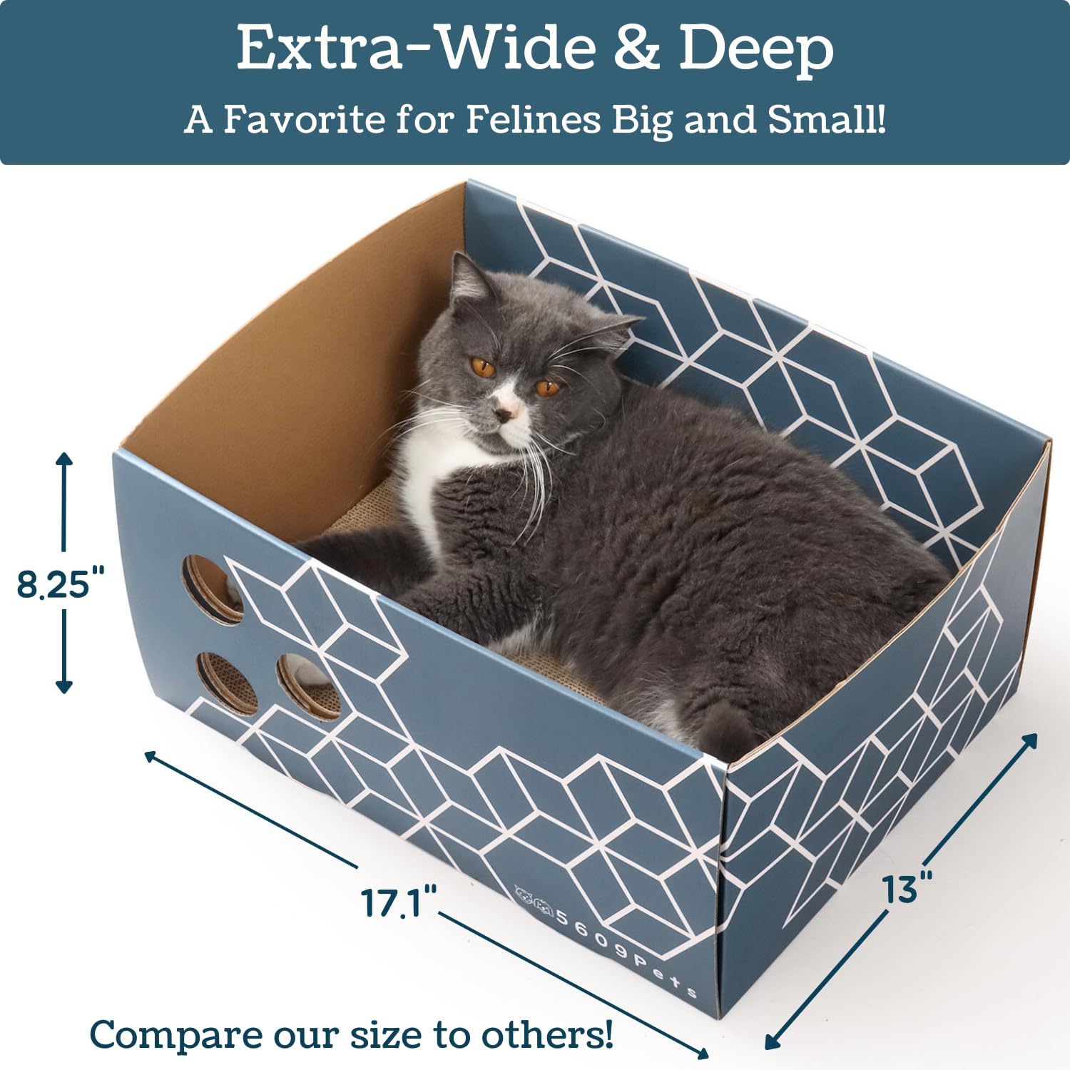 5609PETS dimensions-extragrandes-carton: espace spacieux pour griffage et repos