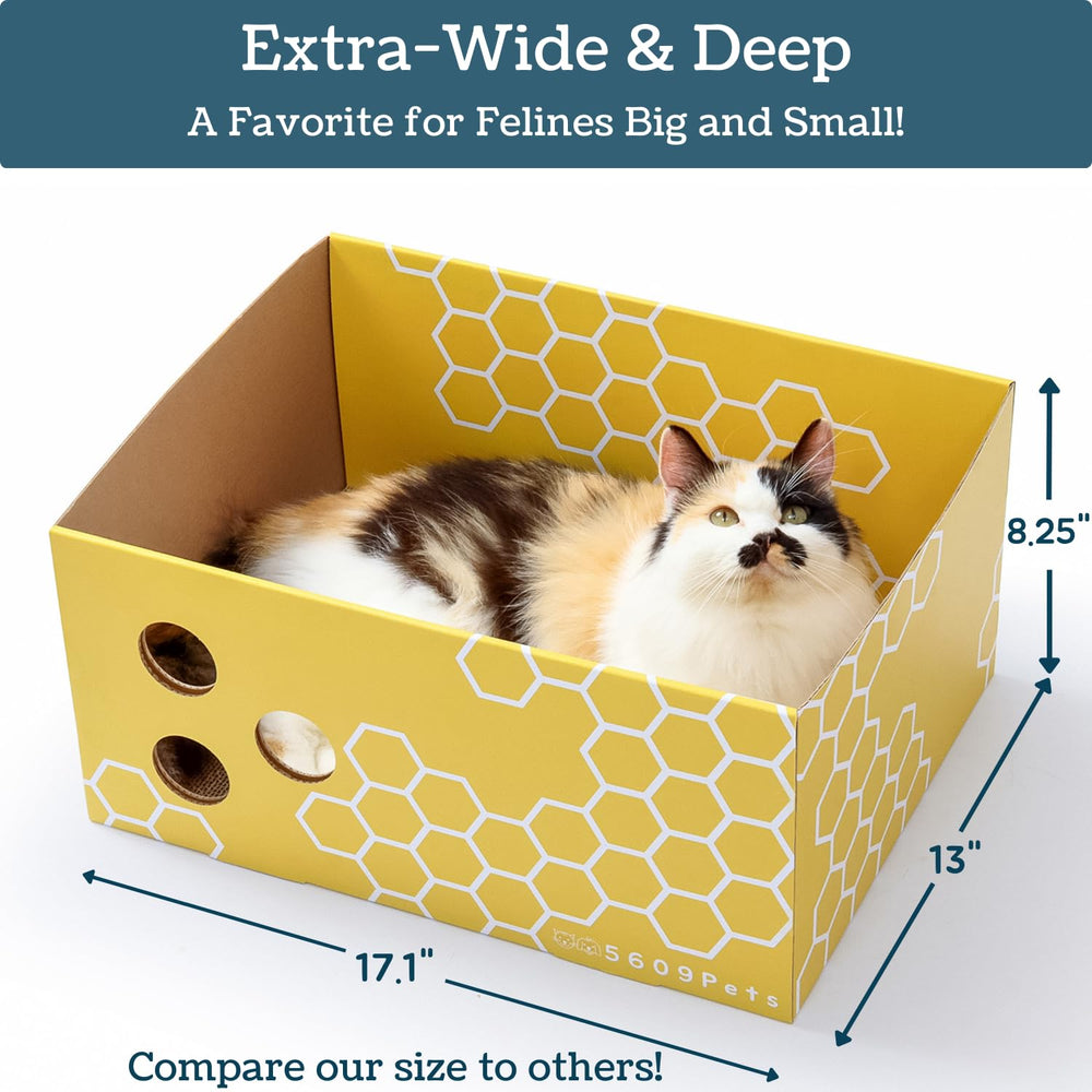 5609PETS format-grande-taille, convient aux chats qui s’étendent et se prélassent.