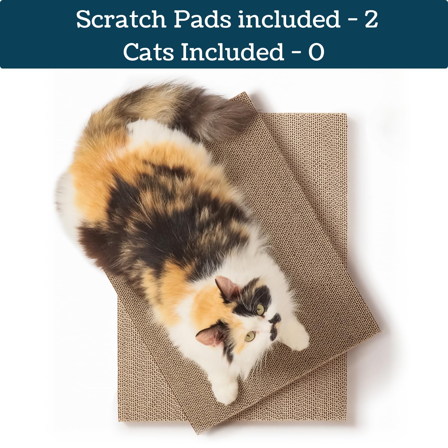 5609PETS grattoir-chat dos double: deux faces pour des sessions plus longues
