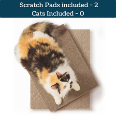 5609PETS grattoir-chat dos double: deux faces pour des sessions plus longues