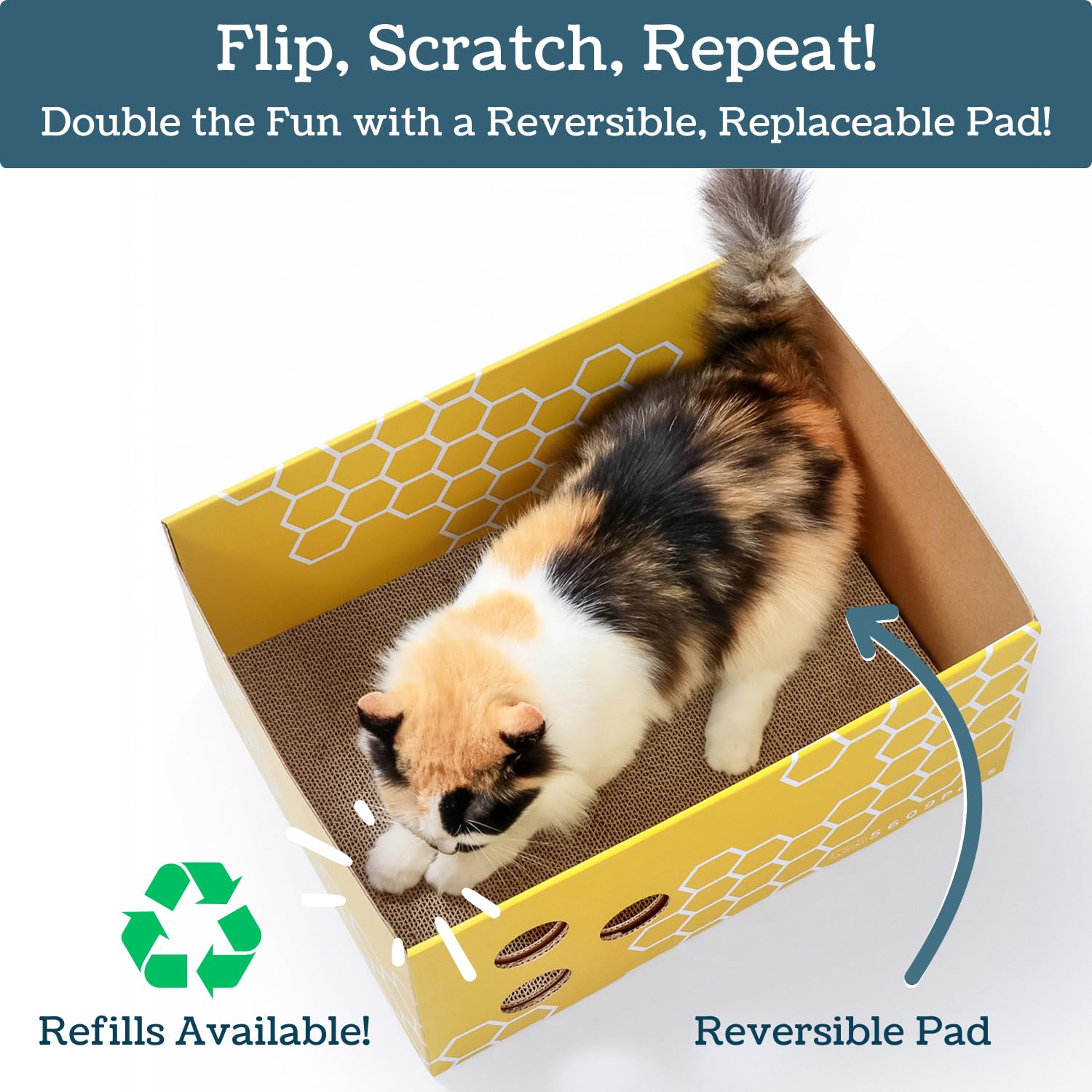 5609PETS grattoir-double-face-remplissable, prolonge le temps de griffage.