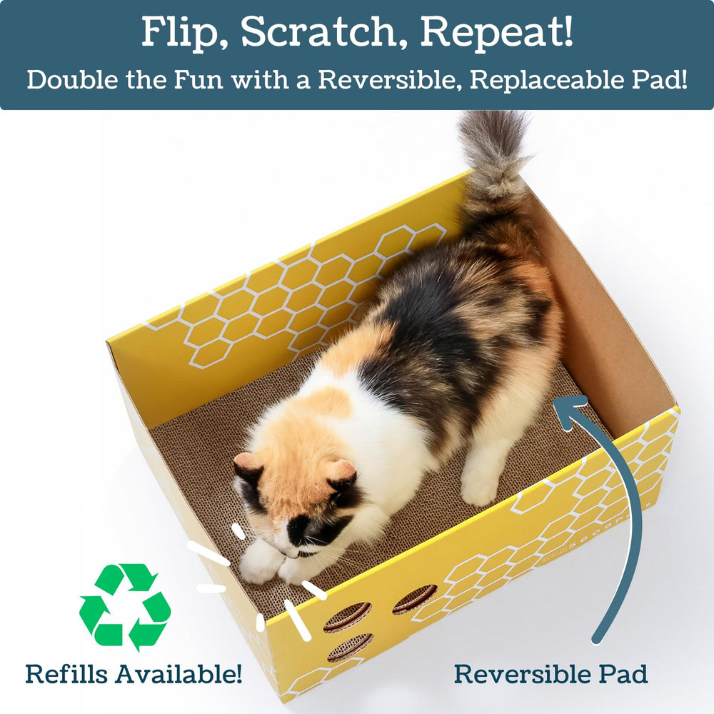 5609PETS grattoir-double-face-remplissable, prolonge le temps de griffage.