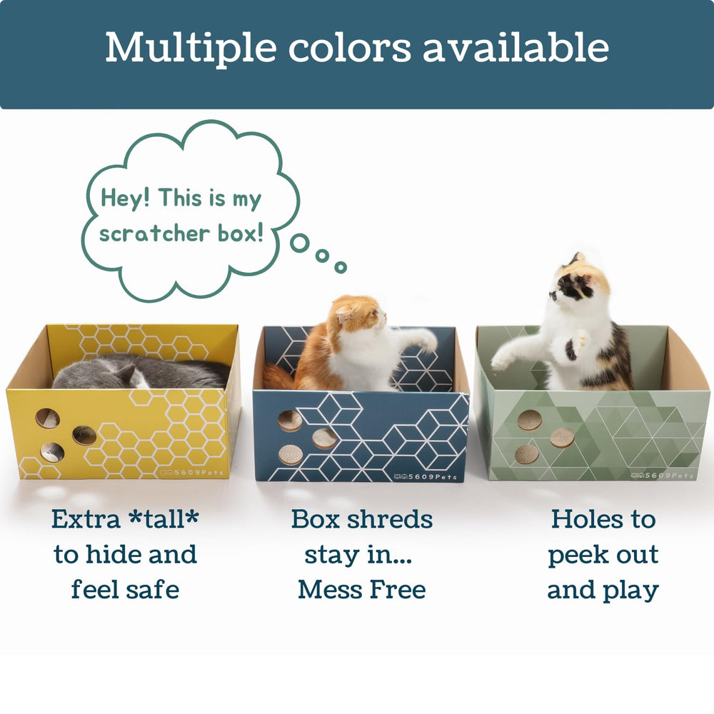 5609PETS nid-cachette-chat-interieur, espace sûr pour griffes et repos.