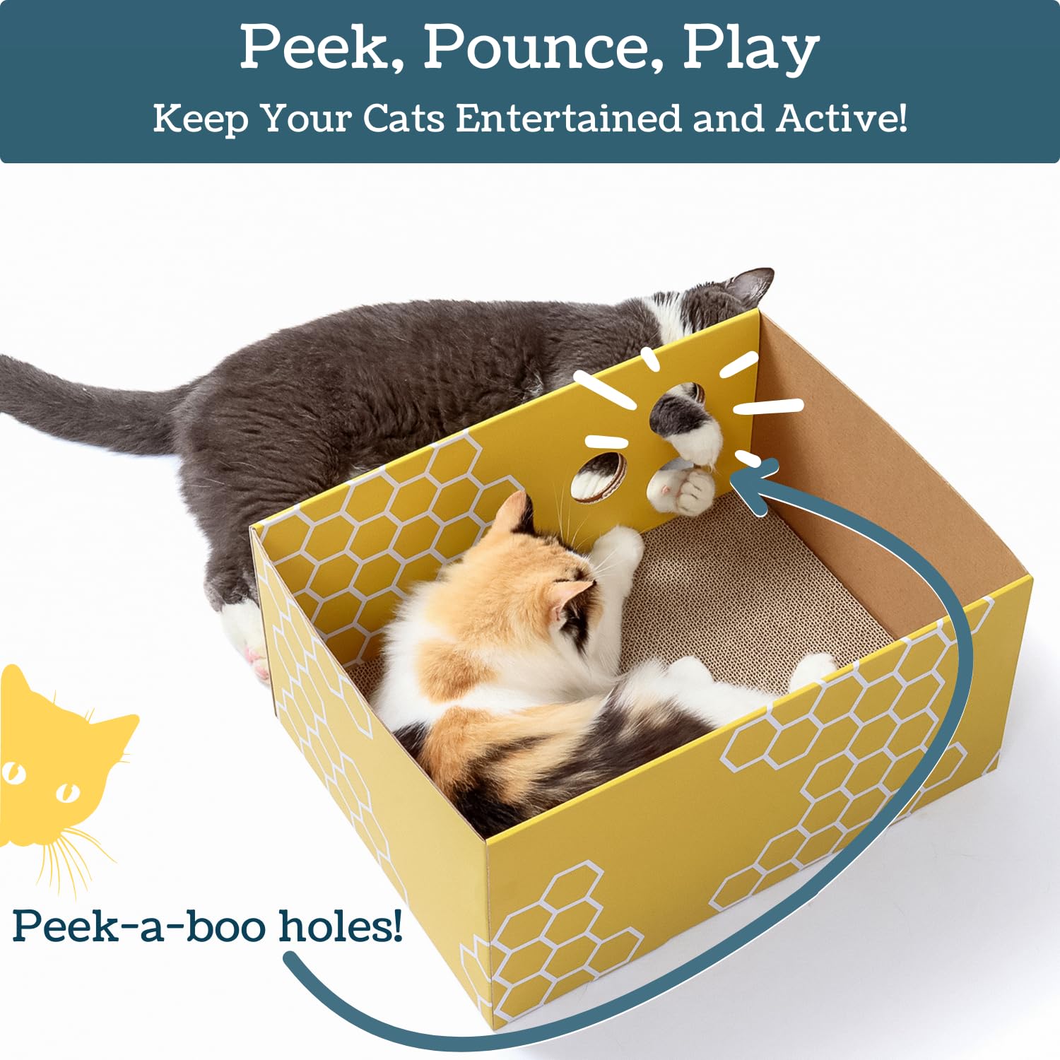 5609PETS ouvertures-interactives-chat, permet de jouer avec des plumes et balles.