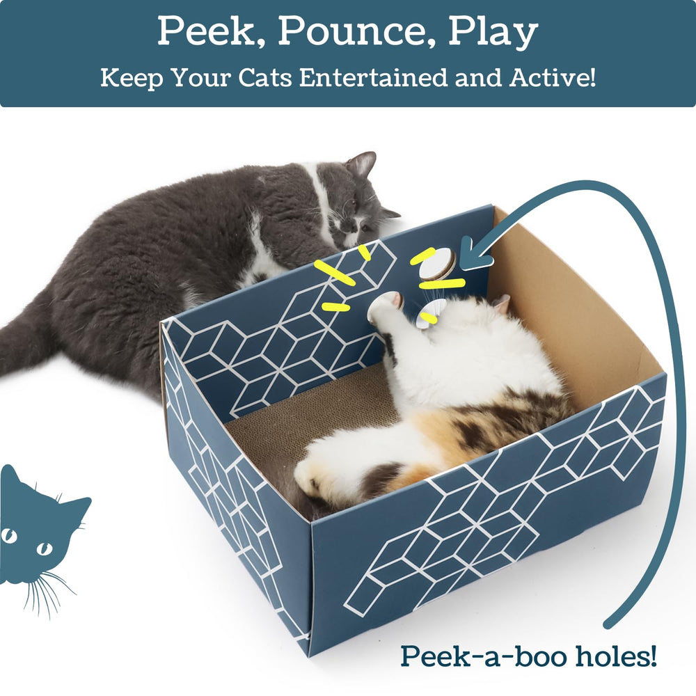 5609PETS ouvertures-interactives-chat: jouer avec des jouets à travers les fentes