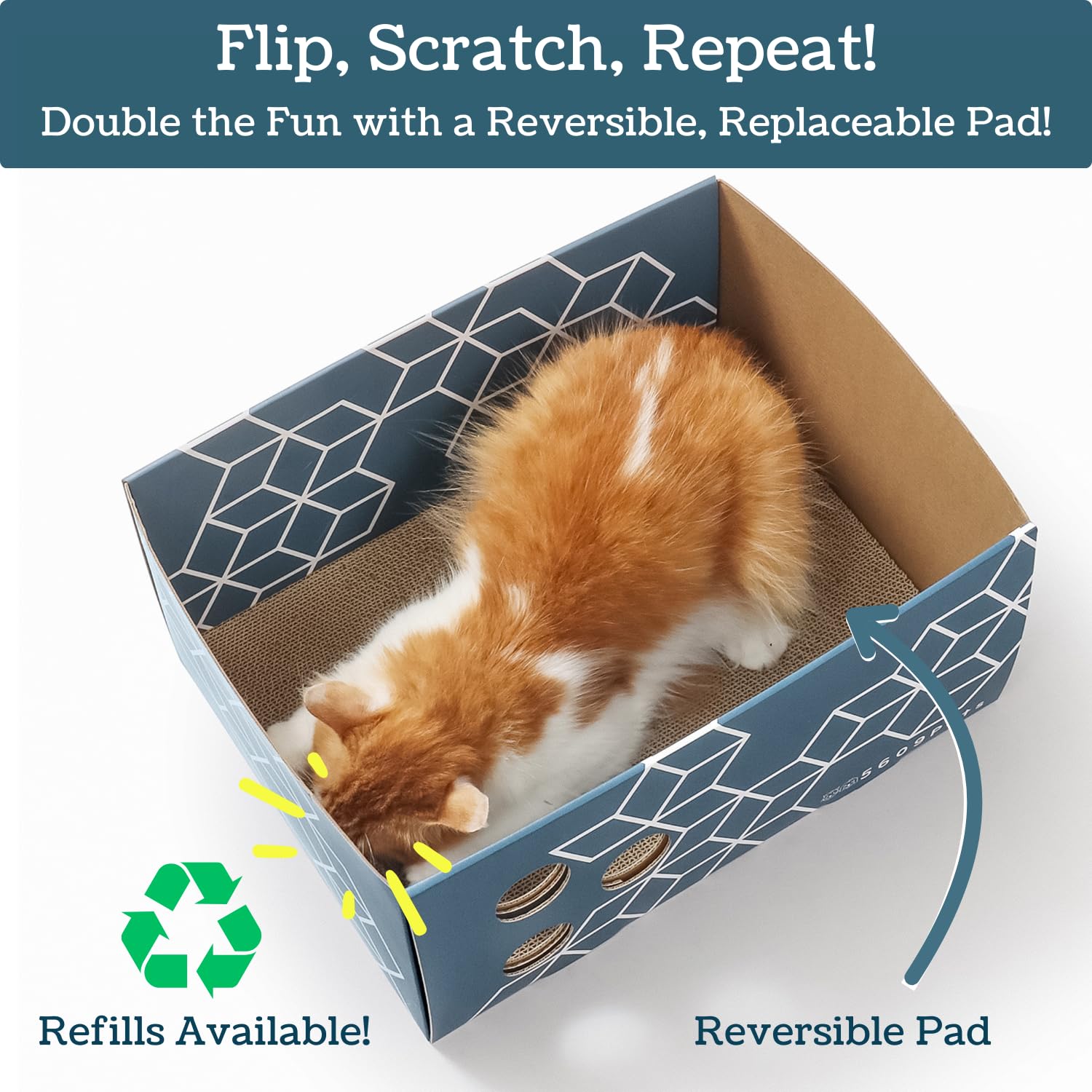 5609PETS plaque-grattage-double-face-remplaçable: double vie pour griffage