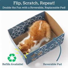 5609PETS plaque-grattage-double-face-remplaçable: double vie pour griffage
