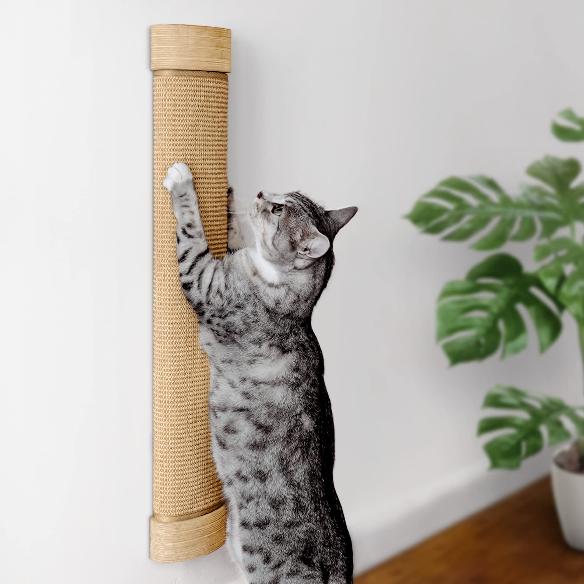 Grattoir-chat mural grand 7 Ruby Road, espace de griffage durable