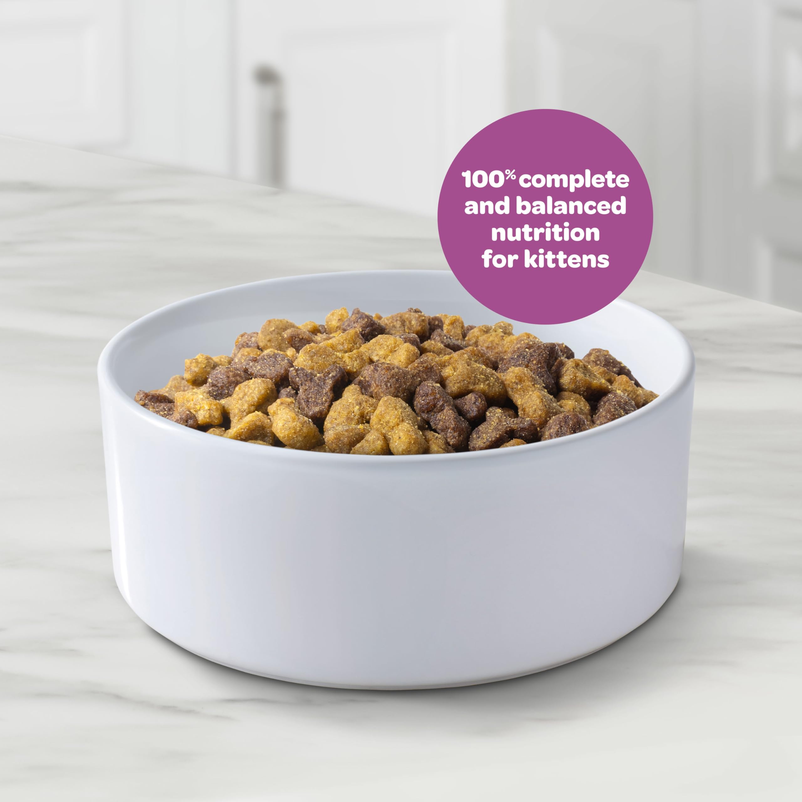 9Lives Essentiels Chaton – bol de croquettes, goût plaisant et texture adaptée