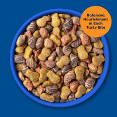 Croquettes saumon 9Lives Indispensables quotidiens pour chat