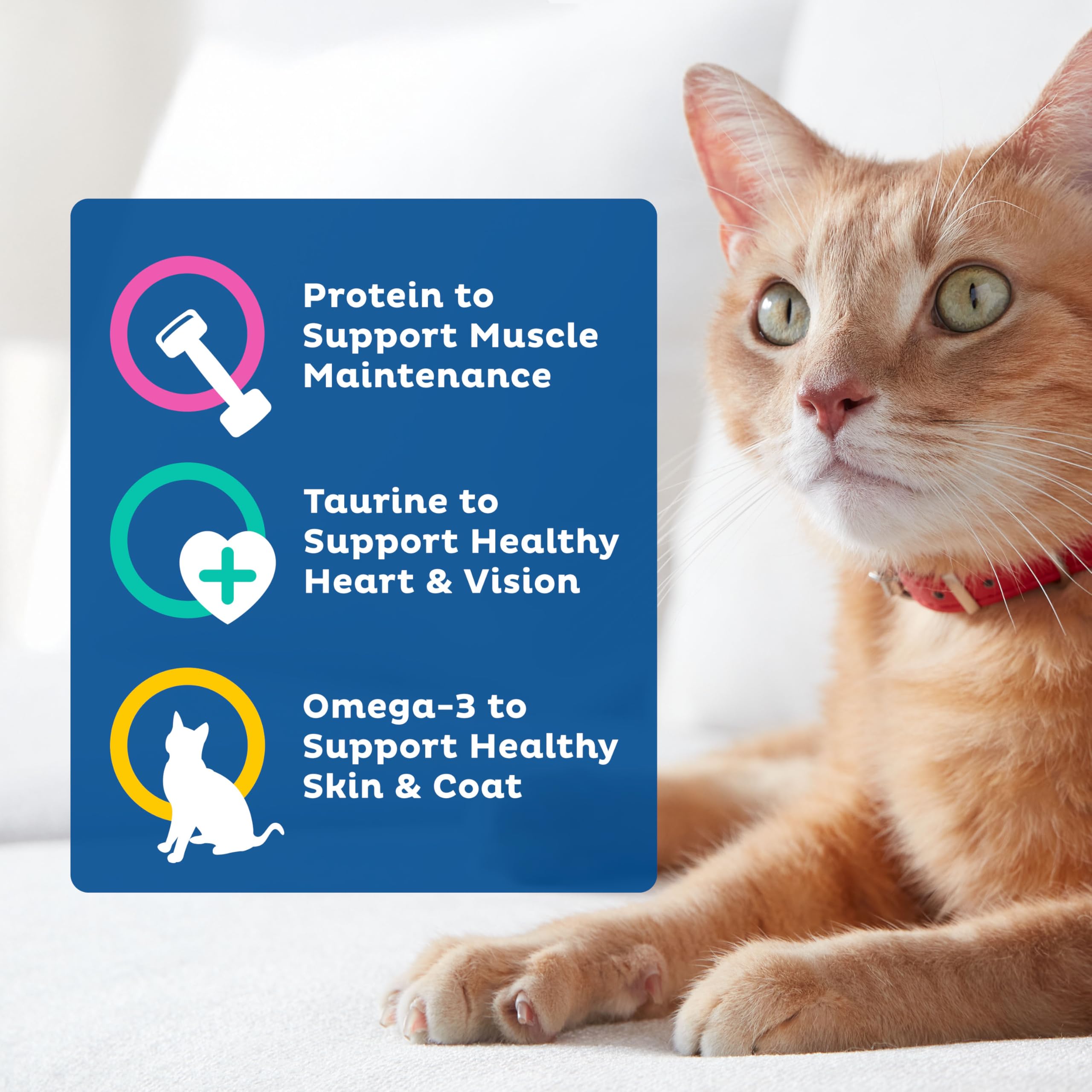 Taurine et cœur-vision dans 9Lives Indispensables quotidiens