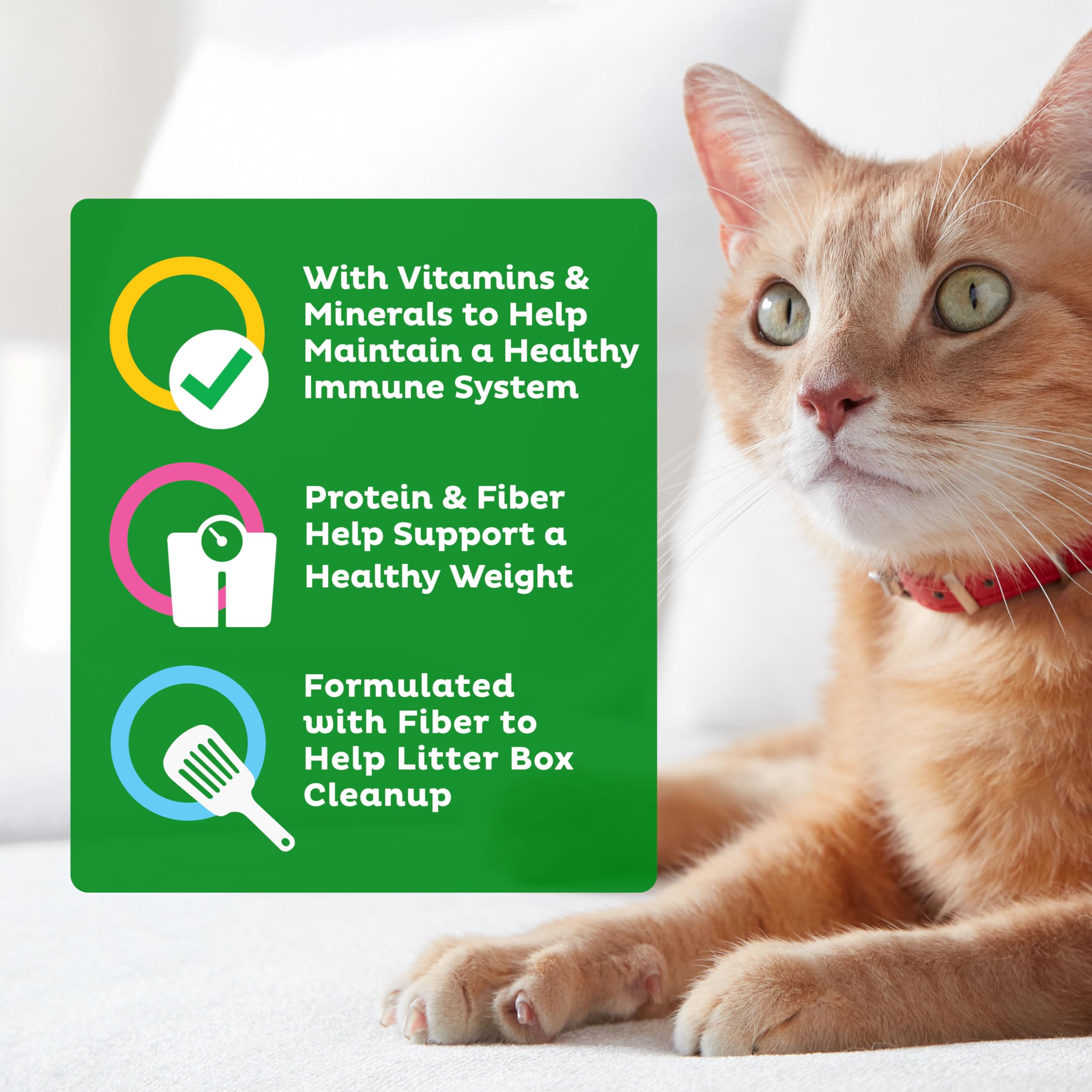 9Lives Indoor Essentials – croquettes multi-formes et couleurs stimulantes pour l'appétit.