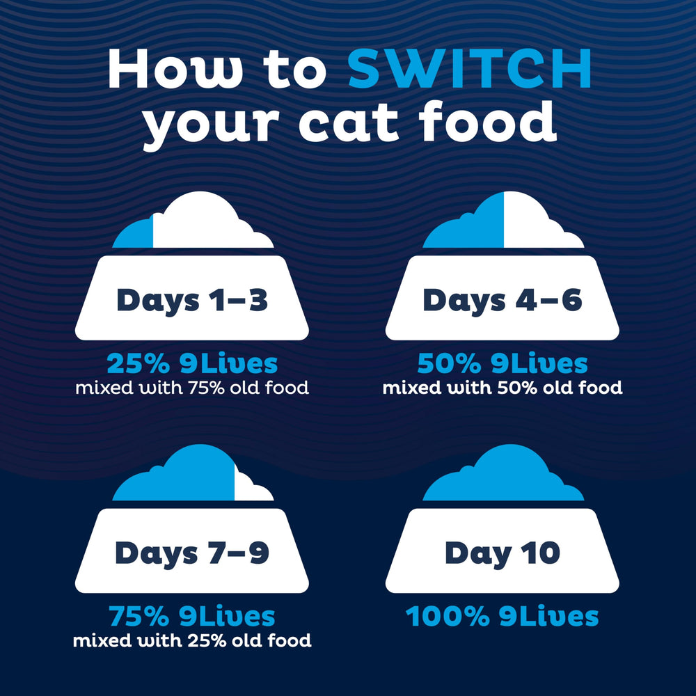 9Lives Indoor Essentials – soutien nutritionnel pour chats d'intérieur visant une vie équilibrée.