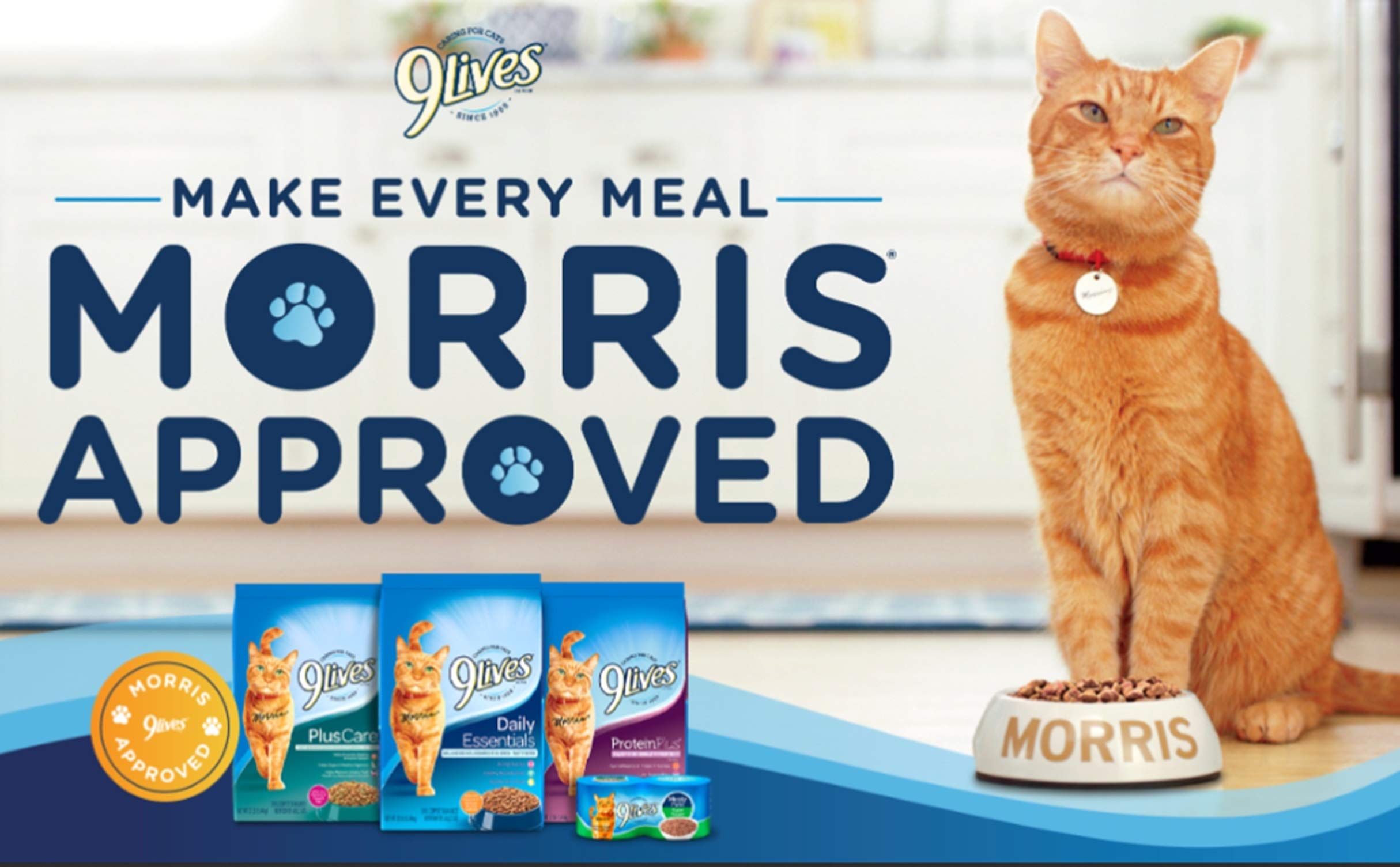 9Lives Paté au poulet seul, 4 boîtes, option pratique pour le quotidien.
