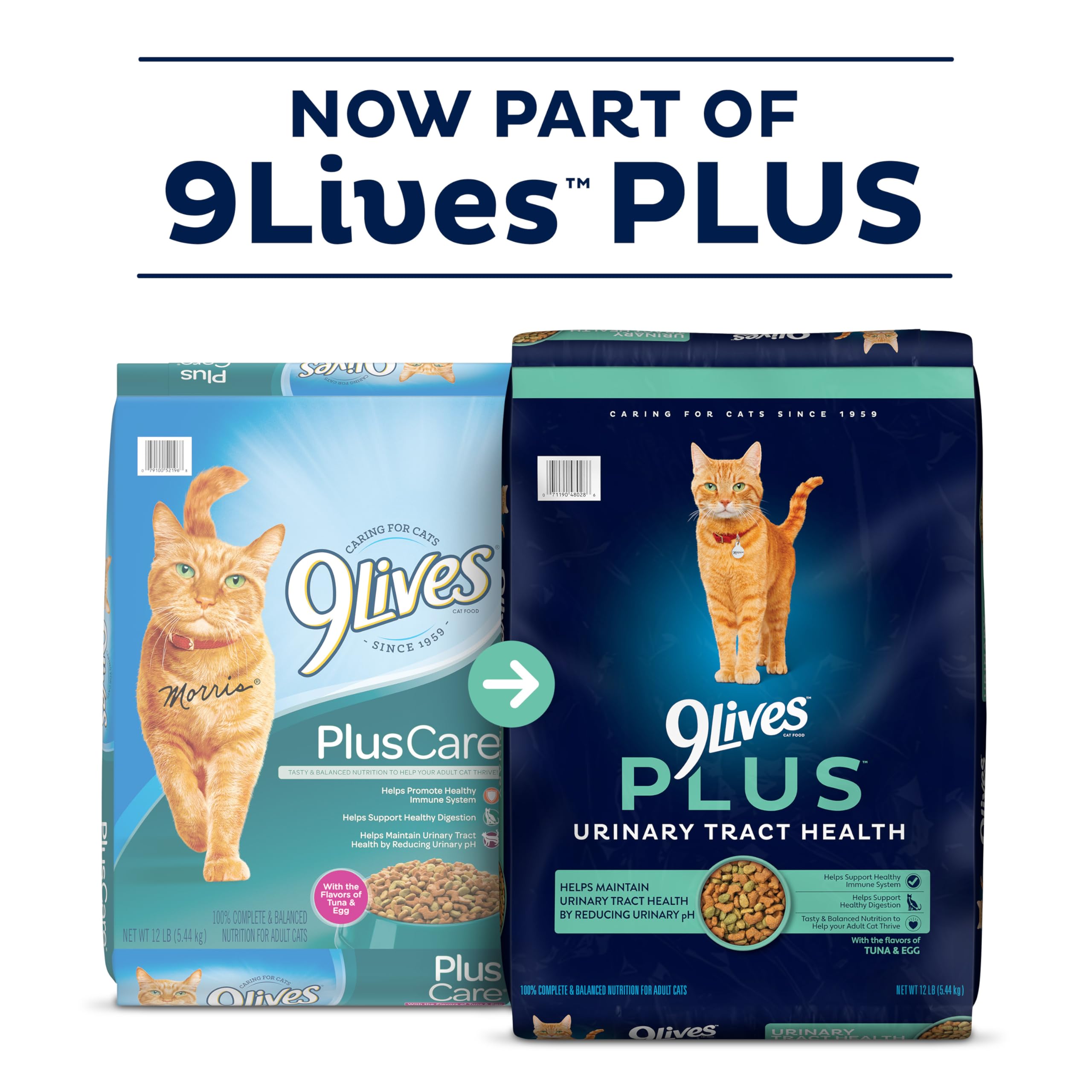 Chat dégustant croquettes tuna-oeuf 9Lives Plus, saveur attrayante.