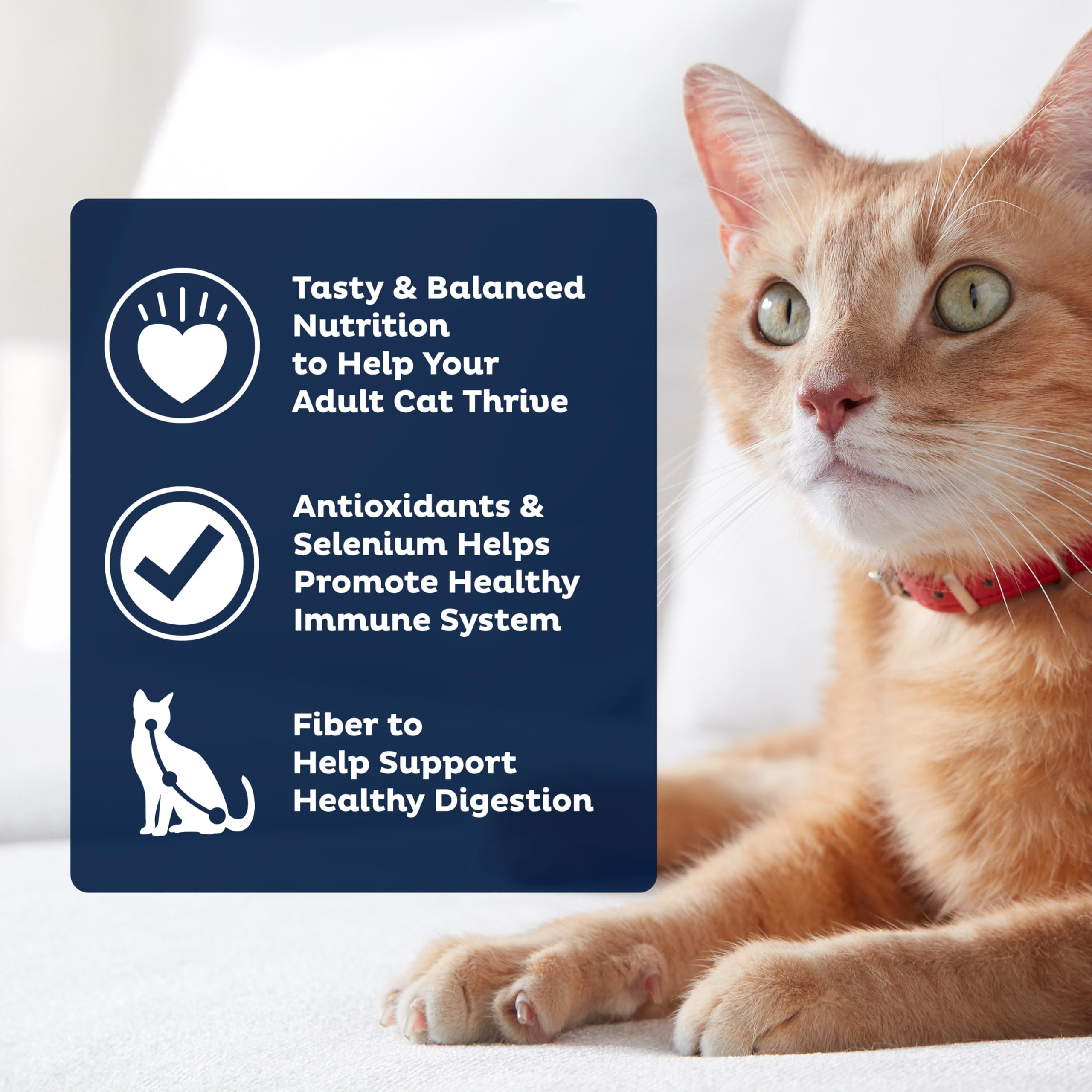 Fibres dans 9Lives Plus favorisent une digestion confortable.