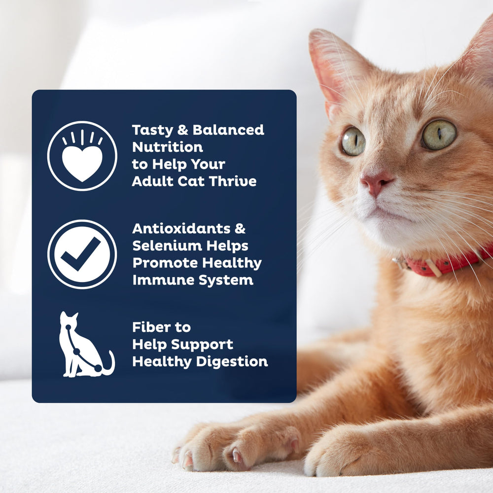 Fibres dans 9Lives Plus favorisent une digestion confortable.