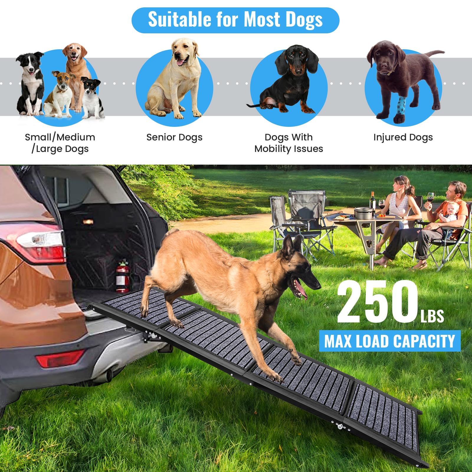 Rampe metallique 9TH SHOP, base solide pour chiens lourds.