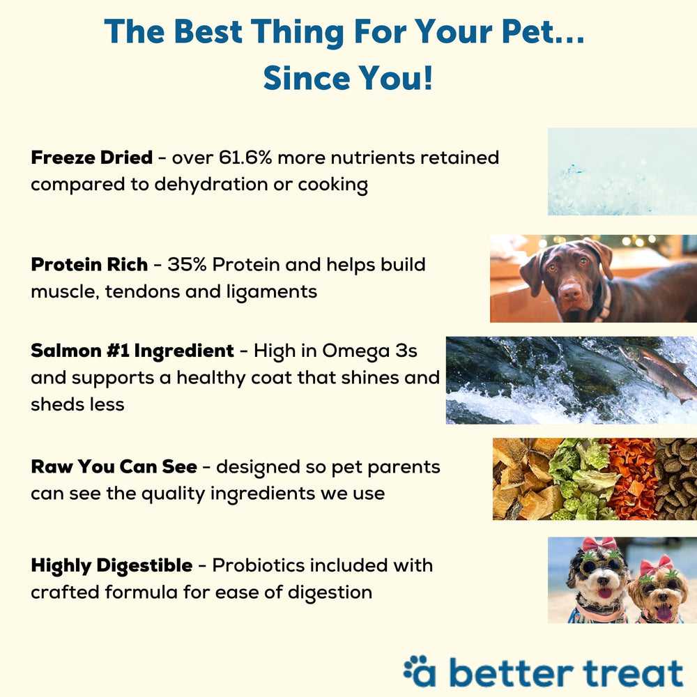 A Better Treat brocoli séché, source de fibres et nutriments