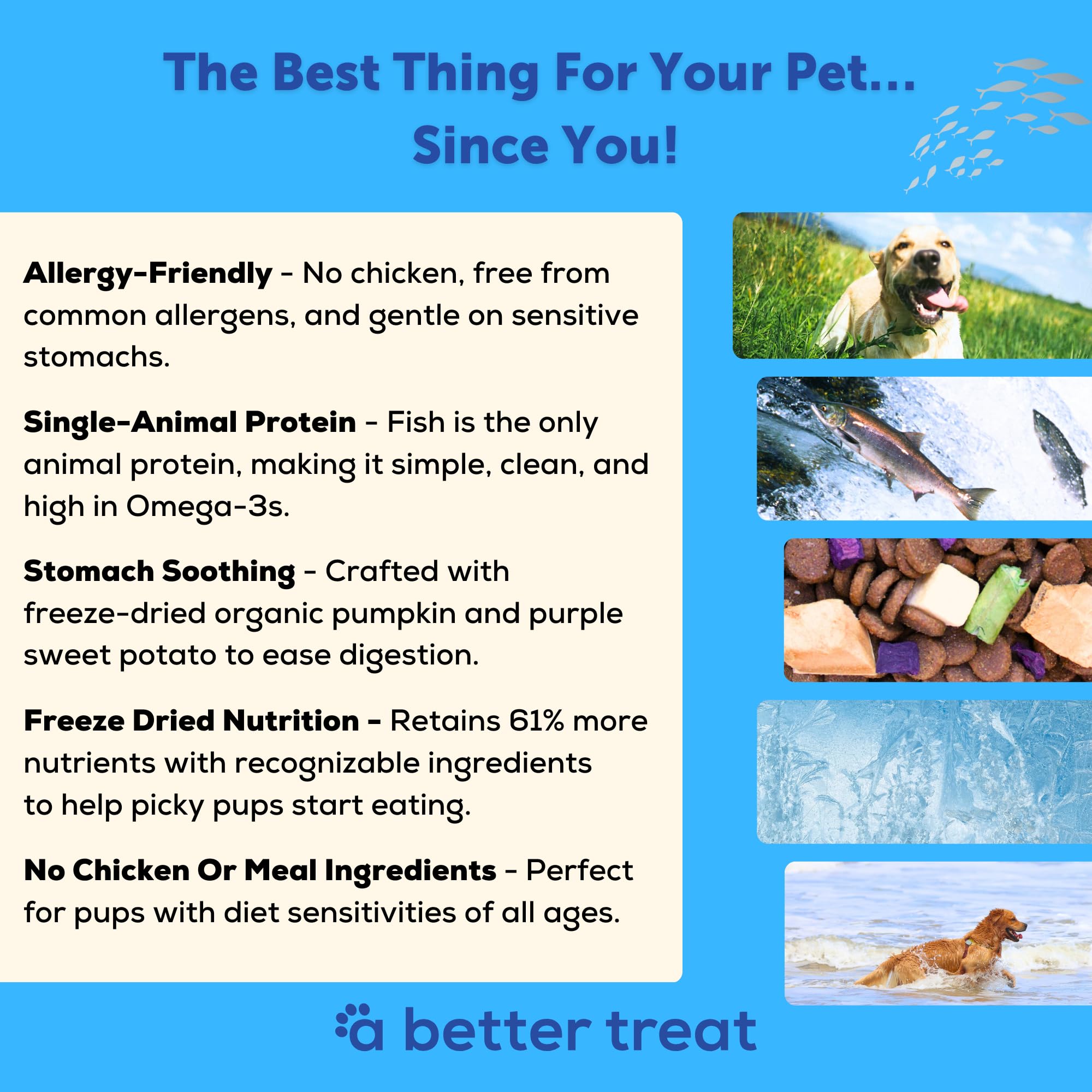 A Better Treat – haricots-verts: fibres naturelles et appétence accrue