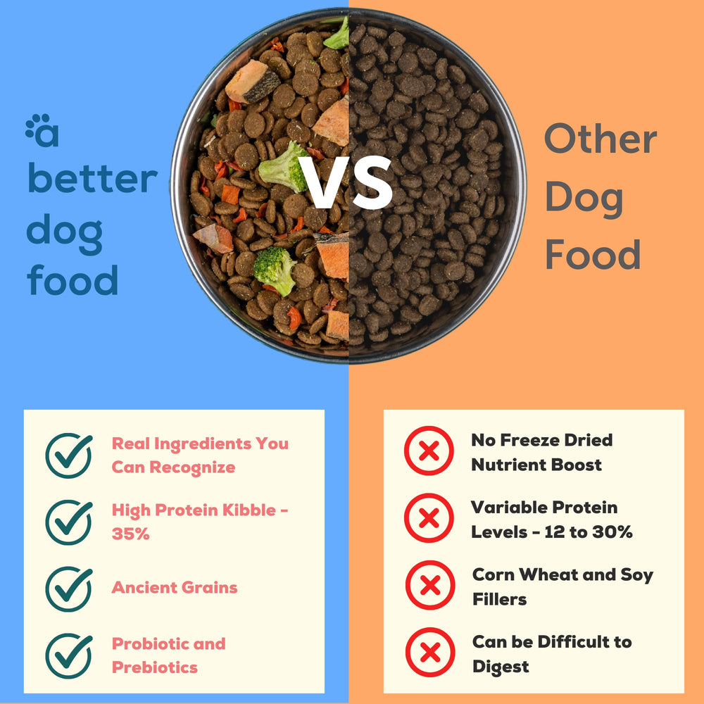 A Better Treat morceaux crus saumon séchés apportant Omega-3 et fibres