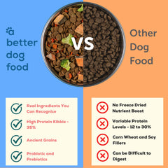 A Better Treat morceaux crus saumon séchés apportant Omega-3 et fibres