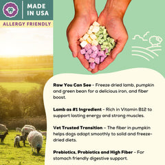 Patate douce violette séchée, source de fibres et goût naturel