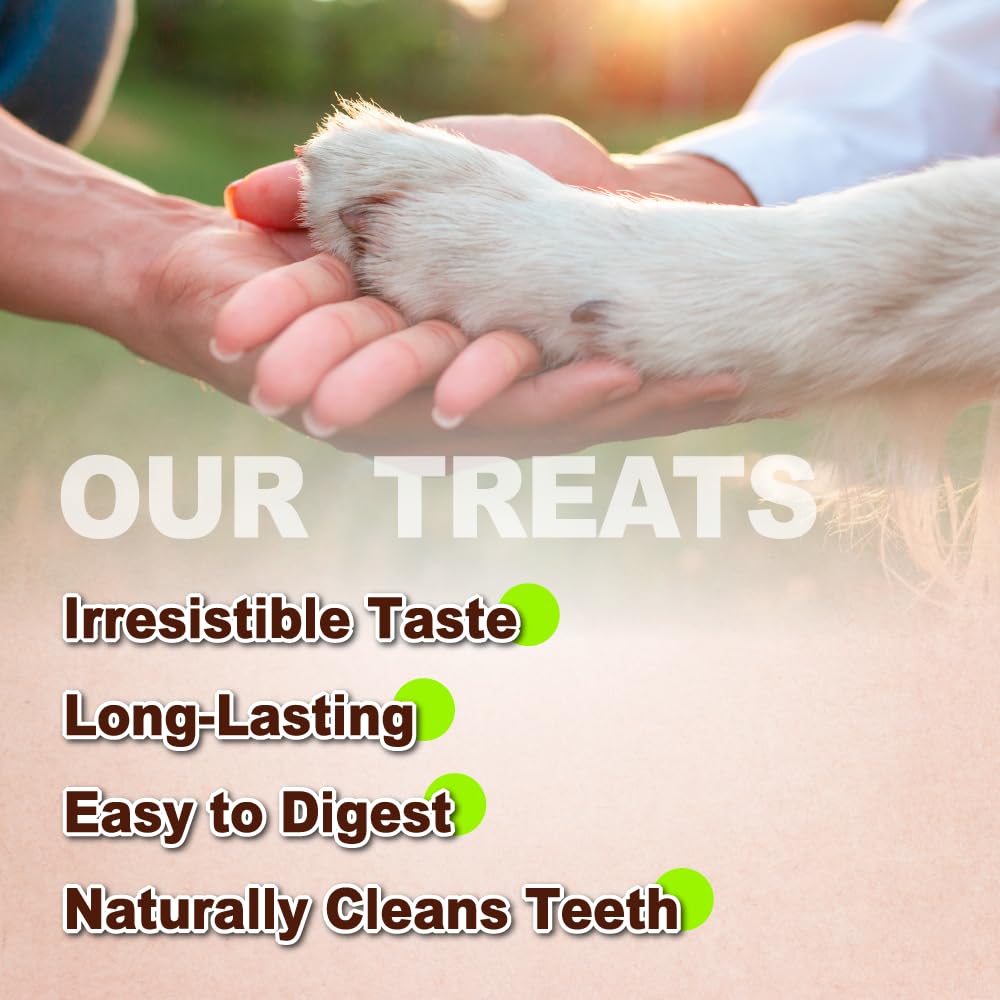 Friandises hypoallergéniques tendons dinde sans allergènes courants