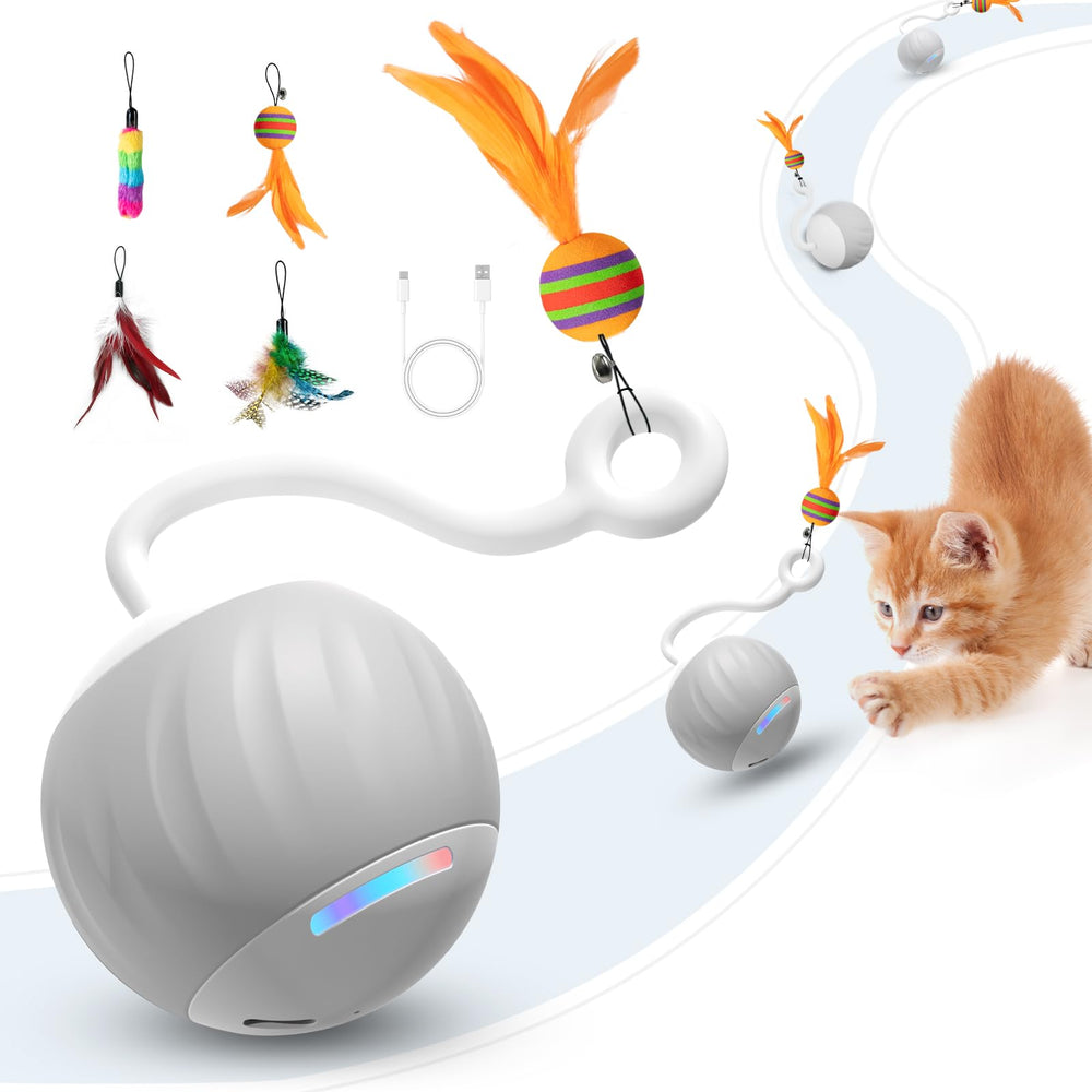 AAA AMUSANG balle jouet interactif gris, stimulation pour chats curieux