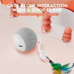 AAA AMUSANG batterie rechargeable, longue autonomie pour jeu indépendant gris