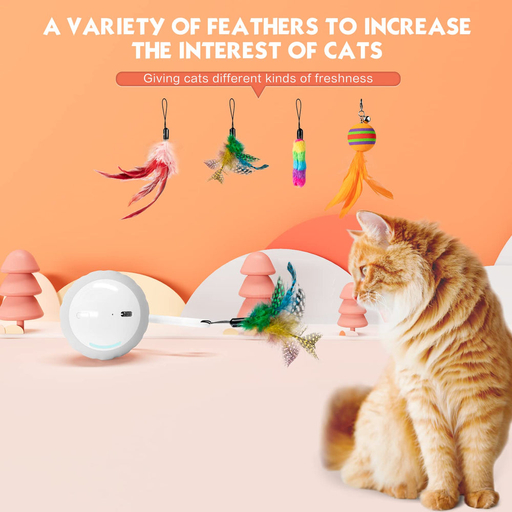 AAA AMUSANG activation tactile: le chat relance le jeu avec la balle gris