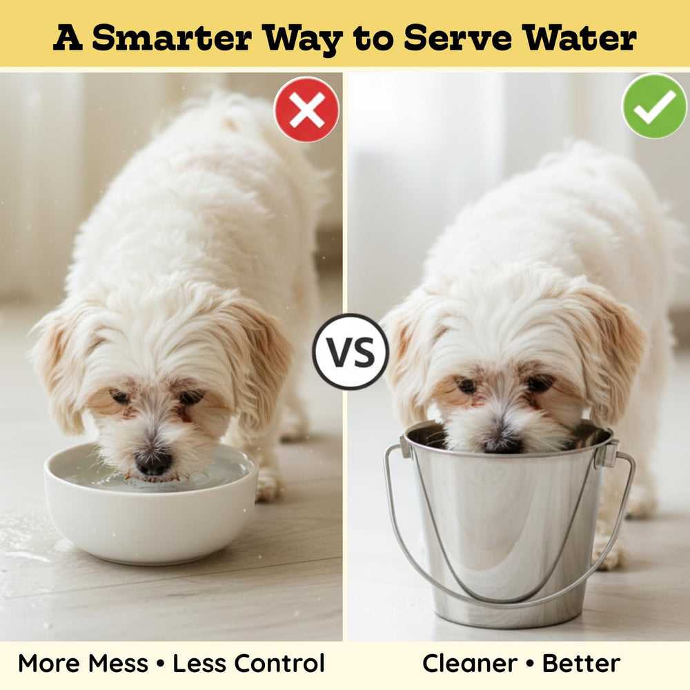 Seau AASPIRE PETS compatible lave-vaisselle, nettoyage rapide.
