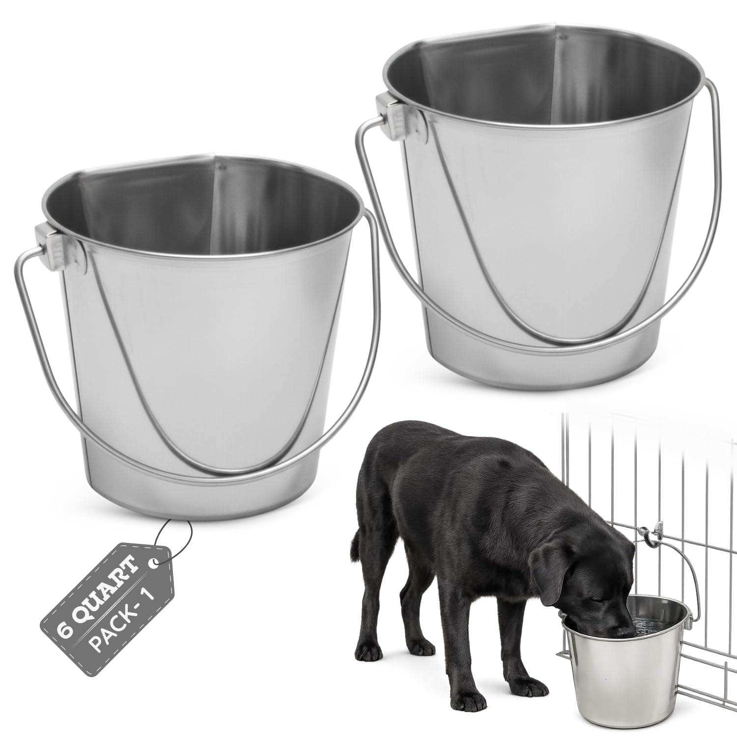AASPIRE PETS seau nourrissage plat côté, stabilité contre le mur