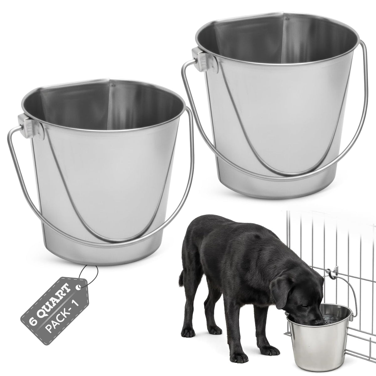 AASPIRE PETS seau nourrissage plat côté, stabilité contre le mur