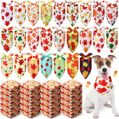 Abbylike bandana avec feuilles d'erable pour chien, parfait pour des photos d'automne.