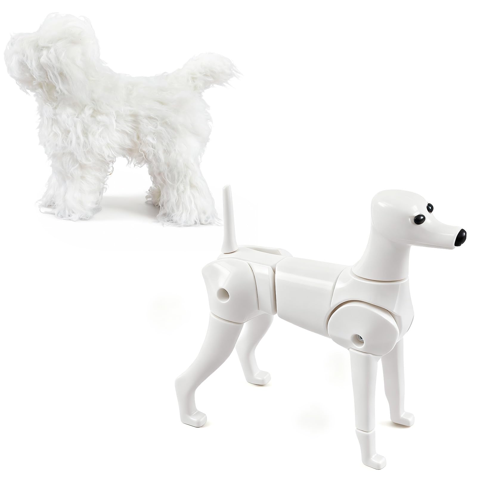 Abbylike caniche jouet: modèle réaliste pour entraînement du toilettage et démonstrations