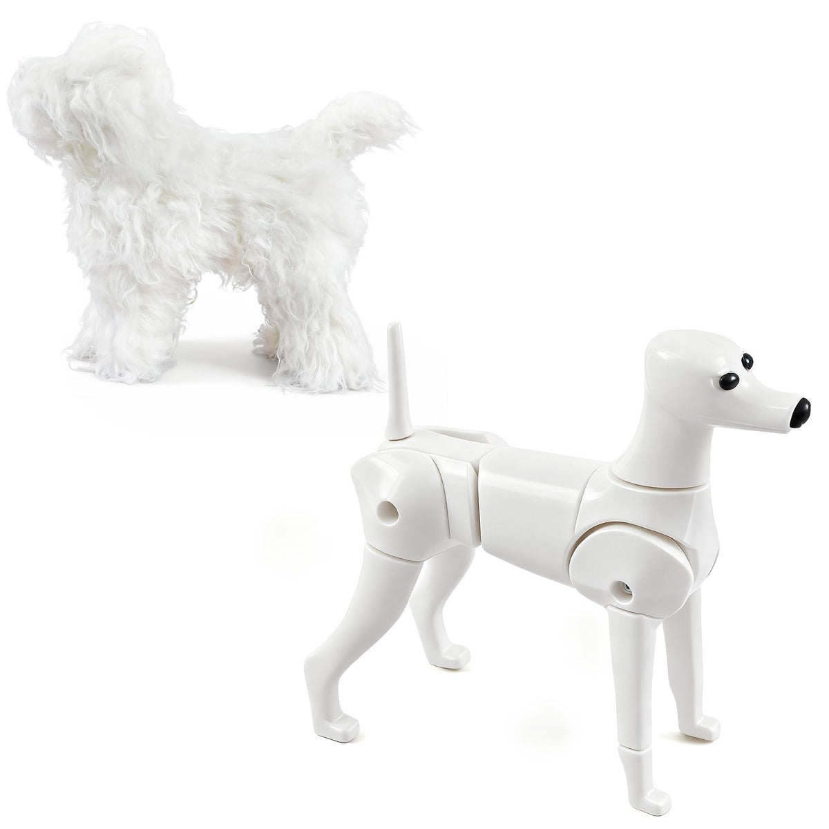 Abbylike caniche jouet: modèle réaliste pour entraînement du toilettage et démonstrations