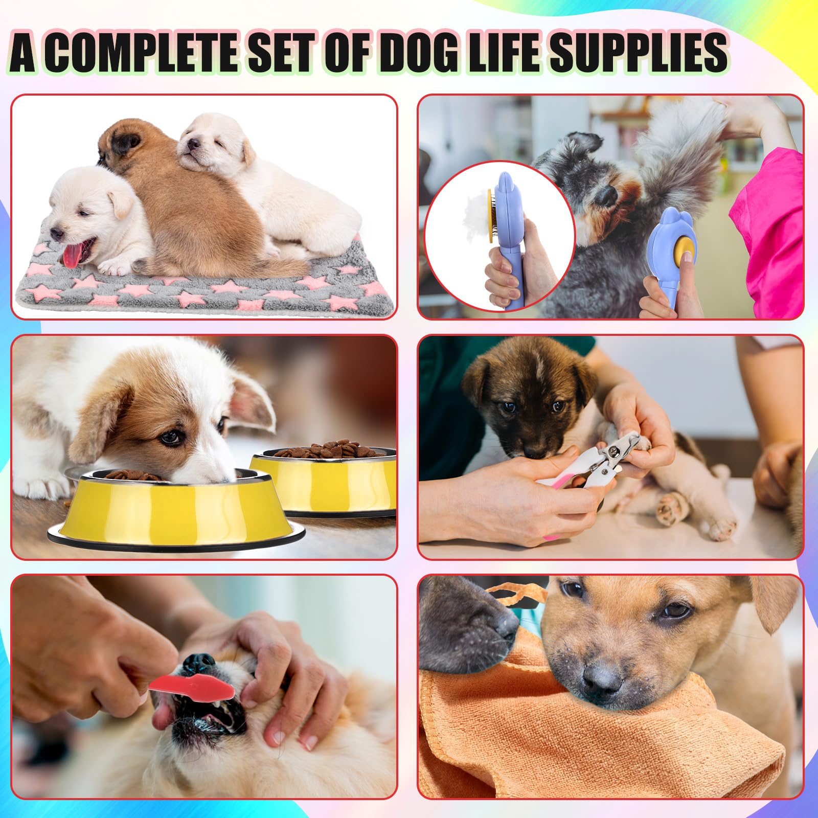 Abbylike kit chiot – cloche d'entrainement pour routines et apprentissage.