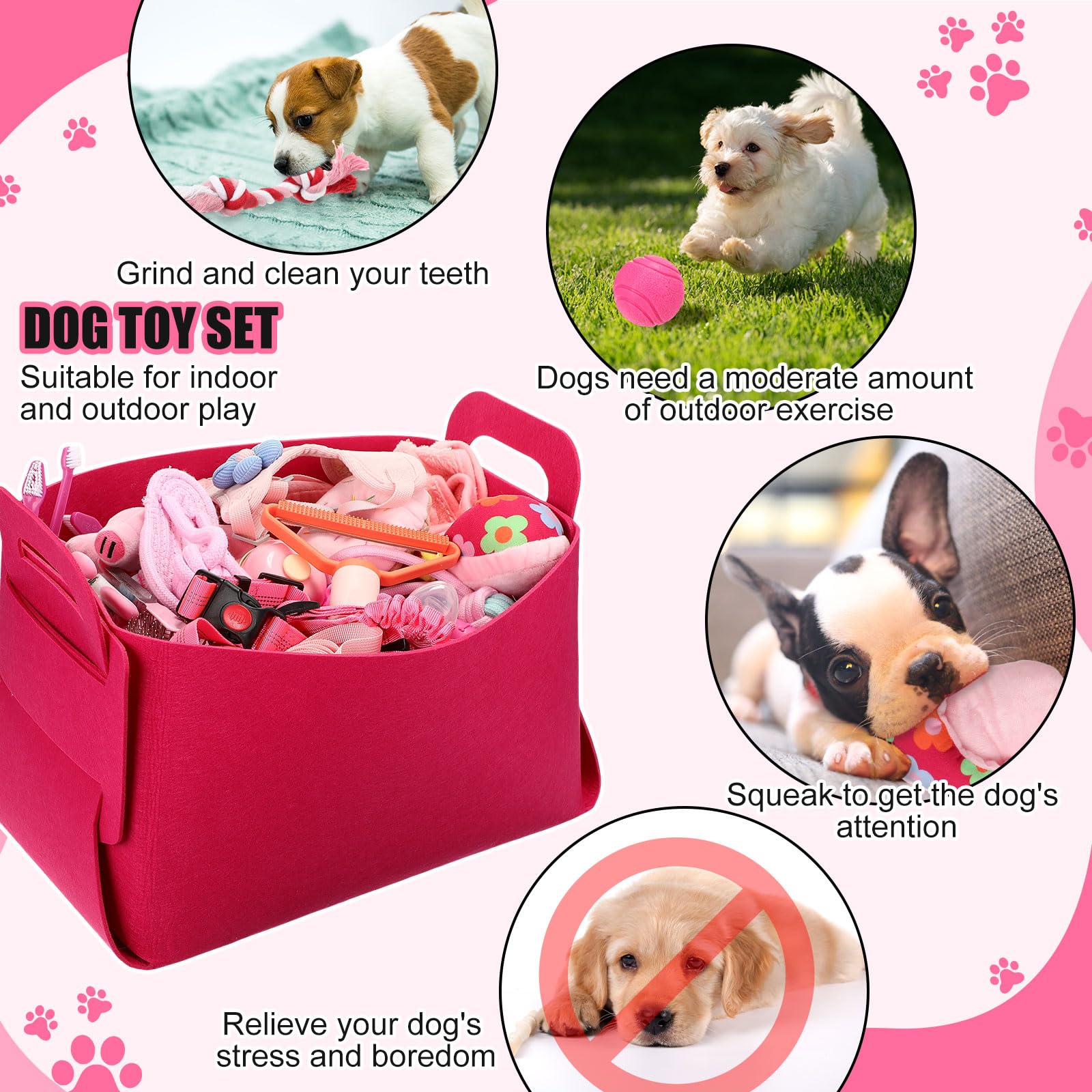 Abbylike kit chiot gamelles inox: repas propres et durables