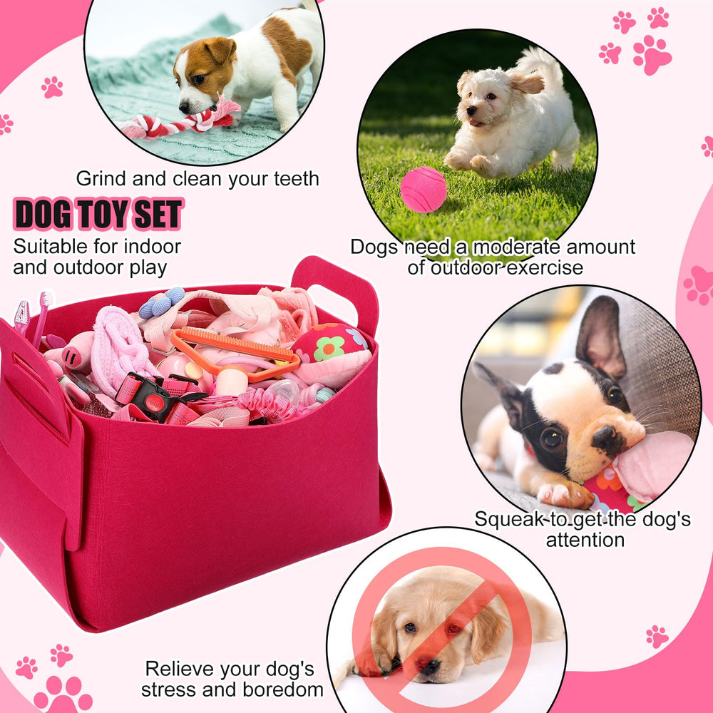 Abbylike kit chiot gamelles inox: repas propres et durables