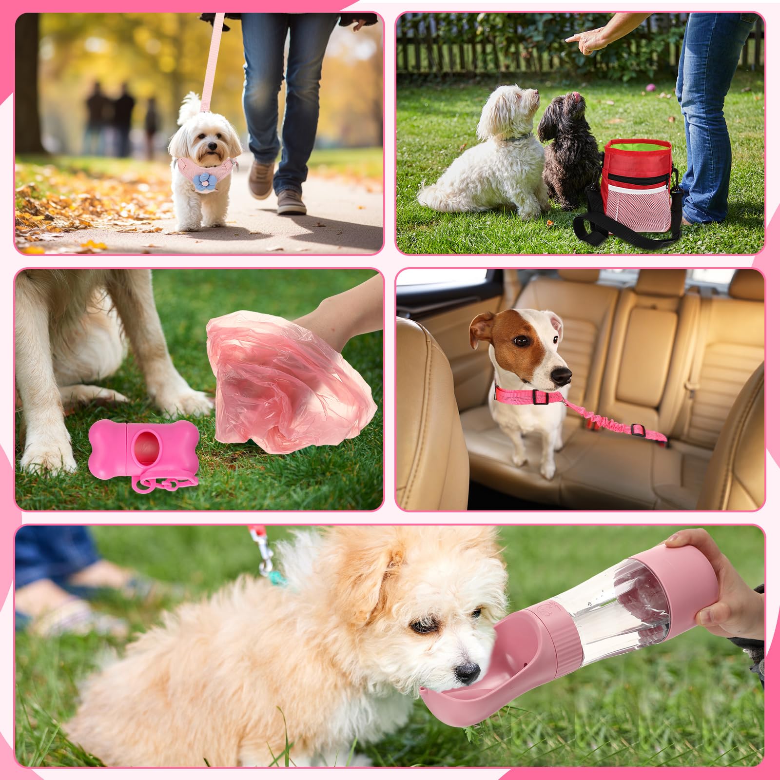 Abbylike kit chiot laisse: promenade confortable et contrôle facile