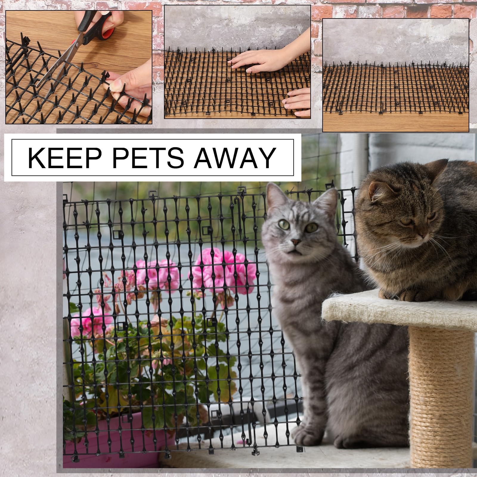 Abbylike tapis intérieur près du canapé, dissuasion efficace