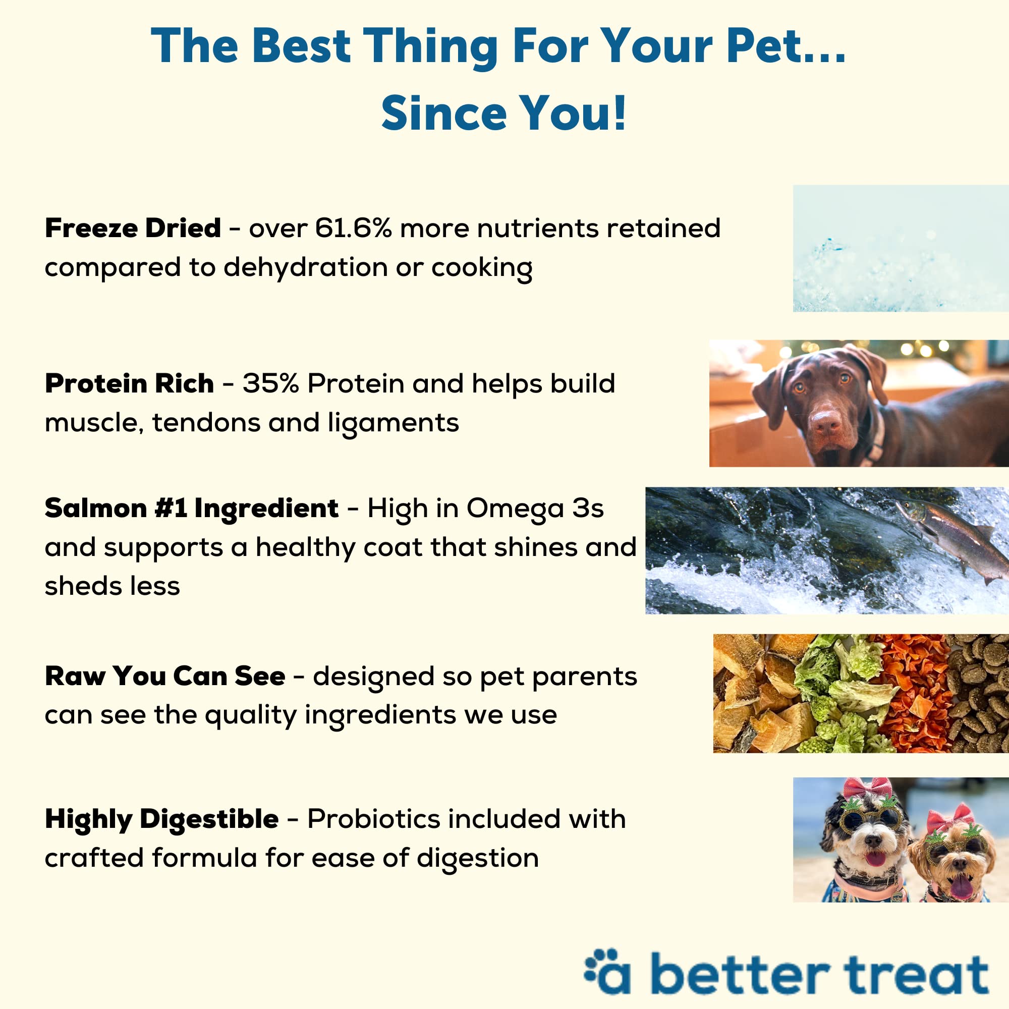 A Better Dog Food ingredients visibles saumon-brocoli-carotte pour une alimentation transparente.
