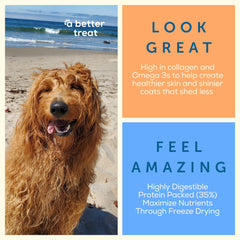 A Better Treat abetter-treat-nourriture-chien-kibble-proteines: protéines élevées pour muscles.