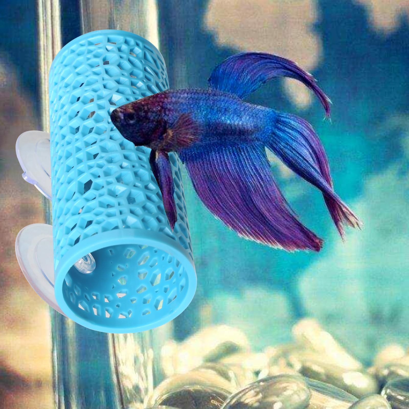 Abizoo accessoire Betta : entretien simple et nettoyage rapide du tunnel décoratif.