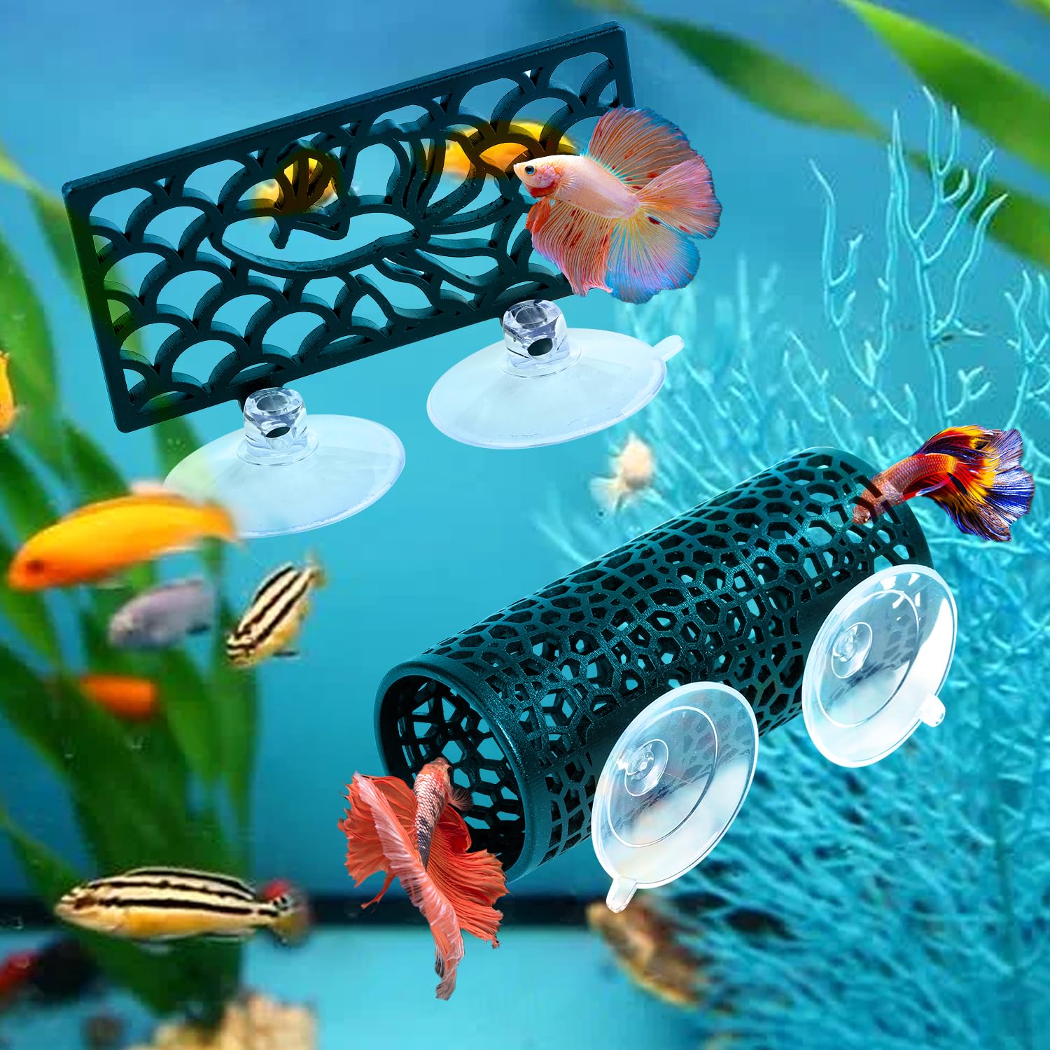 Écosystème décoratif Abizoo : ambiance naturelle pour petits poissons et crevettes.